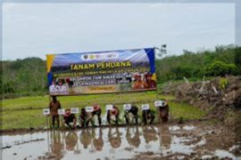 204 hektare cetak sawah di Tabalong tak berfungsi karena minim infrastruktur