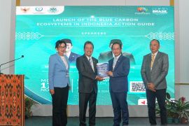 Indonesia launches blue carbon roadmap, action guidelines at COP30