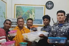 BKSDA Maluku amankan 14 Ular Leopard Pastel tanpa dokumen resmi tujuan Surabaya
