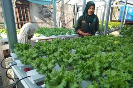 Dinkes Balikpapan luncurkan Program Gempur Stunting, fokus gizi anak