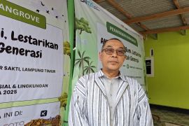 Dishut lakukan rehabilitasi mangrove seluas lima hektare di Lampung Timur