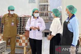 BKKBN berikan layanan gizi untuk SPPG di Maluku Tenggara dukung KIA dan stunting