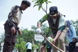 Pemkab Pacitan tanam 4.000 bibit pohon peringati HMPI 2025