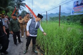 Pemkab Trenggalek tanam 25 ribu rumput vetiver mitigasi bencana di Munjungan