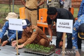 Pemkab Paluta dorong pengendalian inflasi lewat tanam perdana cabai merah