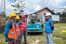 PLN perkuat layanan kelistrikan di Sanggau lewat pemeliharaan jaringan terencana