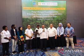 Pemprov Papua Barat Daya kembangkan SIG optimalkan pemetaan SDA