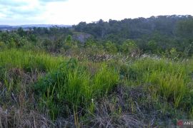 Pemkot Balikpapan ajukan dua lokasi untuk Sekolah Rakyat