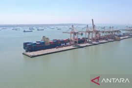 Arus peti kemas internasional tumbuh 8,5 persen