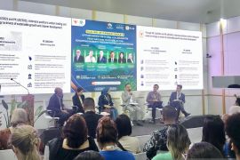 PLN perkuat jalur pasar karbon global melalui investasi transisi energi