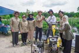 BI Babel panen cabai bersama Poktan Pelita Bumi Raya perkuat ketahanan pangan dan kendalikan inflasi
