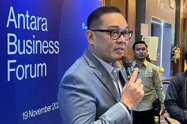 Wamen Investasi sasar pengguna mobil Jepang untuk E10