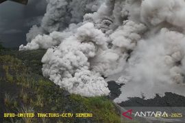 BPBD Lumajang terjunkan TRC ke lokasi terdampak luncuran awan panas