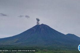 Gunung Semeru hari ini erupsi tiga kali dengan tinggi letusan 600 meter
