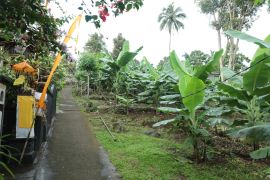 Perjalanan reforma agraria di Asahduren, sertifikat tanah ulayat buka akses ekonomi masyarakat