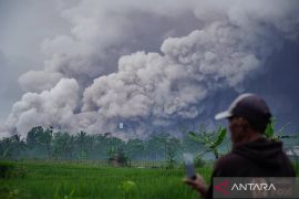 BPBD sebut belum ada laporan dampak erupsi Semeru di Kabupaten Malang