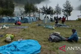 Basarnas, TNBTS pastikan 178 pendaki Semeru dievakuasi dengan aman