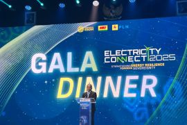 Pemerintah tekankan pengembangan ekosistem kelistrikan berbasis EBT