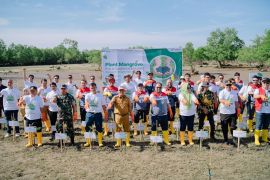 Pertamina Sumbagsel dorong pelestarian mangrove dan pemberdayaan ekonomi masyarakat pesisir Bengkulu