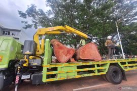 Pohon tumbang, MRT Jakarta tak bahas kompensasi penumpang