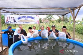 Pemkab Bekasi galakkan budidaya bioflok untuk tingkatkan konsumsi ikan