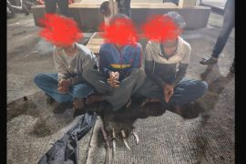 Tiga anak ditangkap diduga pelaku pembacokan di Jakut