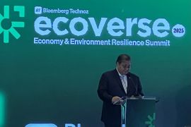 Menko Airlangga gandeng Singapura dan Malaysia kembangkan data center