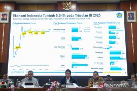 Membangun kapasitas ruang fiskal yang berkelanjutan