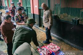 Gubernur DKI Jakarta cek pemberian pakan harimau di Taman Margasatwa Ragunan