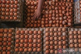 Harga cabai rawit Rp80.800 per kg, telur ayam ras Rp32.650 per kg
