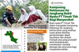 Kampoeng Reklamasi Air Jangkang bukti nyata PT Timah Tbk bagi masyarakat