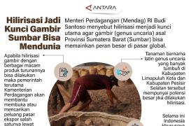 Hilirisasi jadi kunci gambir Sumbar bisa mendunia