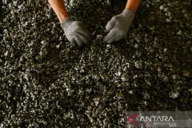 Mitigasi ancaman krisis di hulu saat hilirisasi nikel