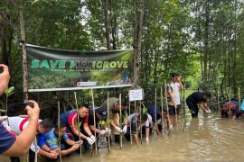 PSDKP Batam tanam 200 bibit Mangrove jaga ekosistem pesisir