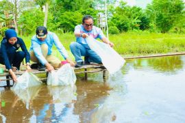 Dorong argominapolitan, Bupati HSU serahkan bantuan sarana perikanan