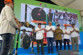 Govt plants 216,000 trees in four provinces to tackle disaster risk