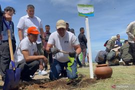 Pemkab Bogor rehabilitasi vegetasi seluas 200 hektare DAS Ciliwung