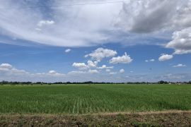 Pupuk Indonesia implementasi penurunan HET pupuk subsidi di Lampung