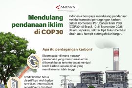 Mendulang pendanaan iklim di COP30