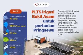 PLTS irigasi Bukit Asam untuk pertanian Pringsewu