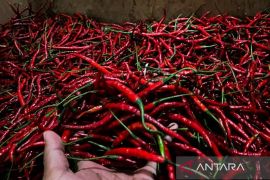 PIHPS: Harga bawang merah Rp40.000 per kg, cabai rawit Rp48.000 per kg