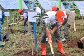 Kepala BNPB sebut hari ini serentak tanam 216.070 pohon di Pulau Jawa