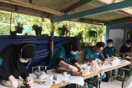 125 kucing di Kepulauan Seribu divaksin untuk cegah rabies