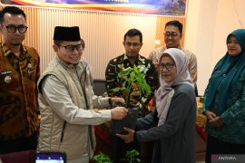 Dorong ketahanan pangan, Pemkot Bukittinggi sebarkan ratusan bibit cabai