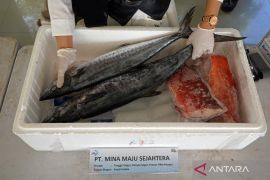 KKP siapkan strategi perluas akses pasar produk perikanan pada 2026