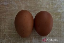 SPPG Bandarsyah bagikan paket makanan kering saat Sekolah Fakultatif