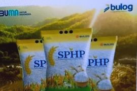 Pemkab Biak terus jaga stabilitas harga jelang Natal