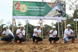 BJA Group wujudkan industri pelet kayu Indonesia bebas deforestasi