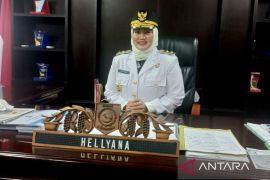 Wagub Hellyana: Angka 25 ibarat usia perak dalam pernikahan yang menandakan kedewasaan