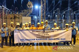 PLN nyalakan data center dukung transformasi digital nasional